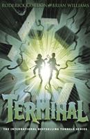   Terminal