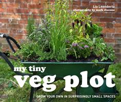   My Tiny Veg Plot