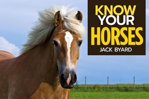   Know Your Horses