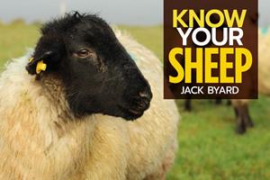   Know Your Sheep