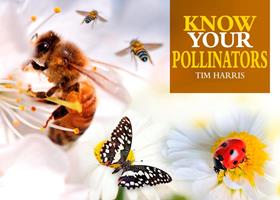   Know Your Pollinators