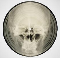   Bone Music