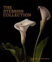   The Stebbins Collection