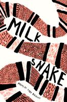   Milk Snake