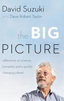   The Big Picture