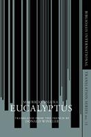   Eucalyptus