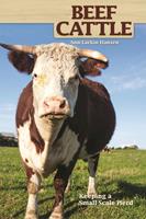   Beef Cattle