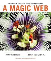   A Magic Web