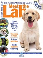   Meet the Lab