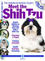  Meet the Shih Tzu