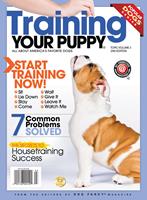   Training your Puppy