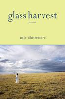   Glass Harvest