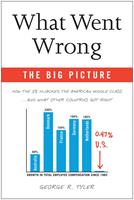   The What Went Wrong: Big Picture