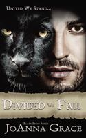   Divided We Fall