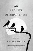   An Archive of Brightness