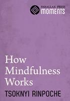   How Mindfulness Works