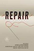   Repair (Boston Review)