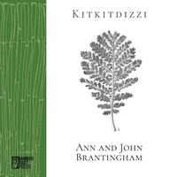   Kitkitdizzi