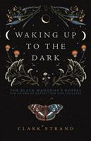   Waking Up to the Dark