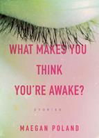 What Makes You Think You're Awake?