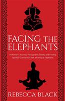   Facing the Elephants