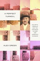   A Perfect Turmoil