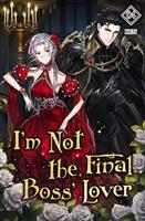 I'm Not The Final Boss'Lover Vol. 4 (novel)