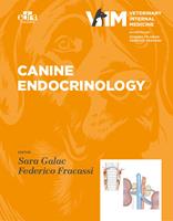   Canine Endocrinology