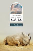   Concerning the Future of Souls