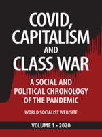   Covid, Capitalism, and Class War, Volume 1 2020: A Social and Political Chronology of the Pandemic