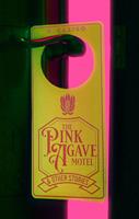   The Pink Agave Motel