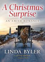   A Christmas Surprise