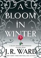   A Bloom in Winter