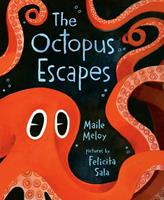   The Octopus Escapes