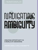   Navigating Ambiguity