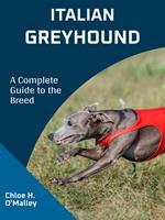   Italian Greyhound