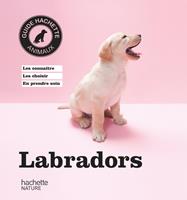   Labradors