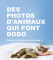   Des photos d'animaux qui font dodo