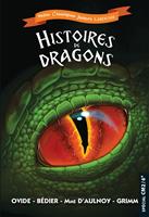   Histoires de dragons