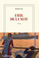  L'œil de la nuit