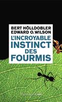   L'incroyable instinct des fourmis