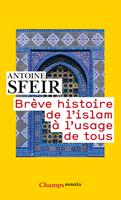   Brève histoire de l'islam à l'usage de tous