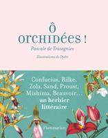   Ô orchidées
