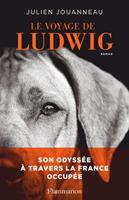   Le voyage de Ludwig