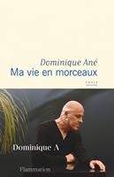   Ma vie en morceaux