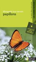   Papillons