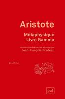 Métaphysique, livre Gamma