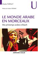   Le monde arabe en morceaux