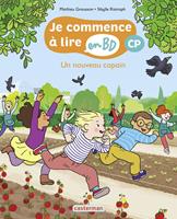  Un nouveau copain