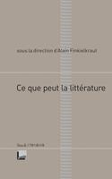   Ce que peut la litt&eacute;rature